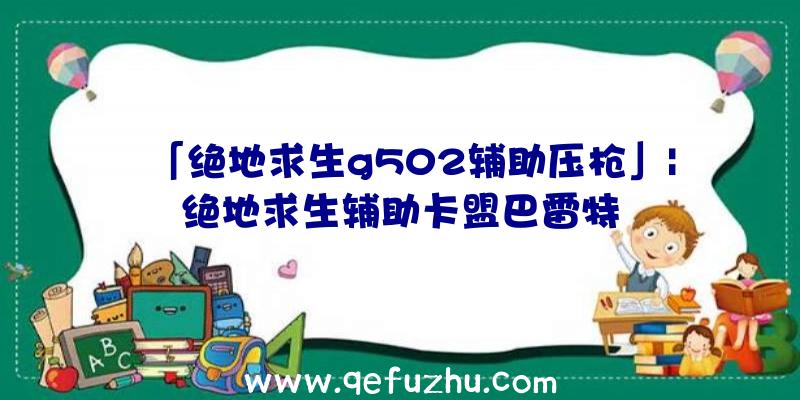 「绝地求生g502辅助压枪」|绝地求生辅助卡盟巴雷特